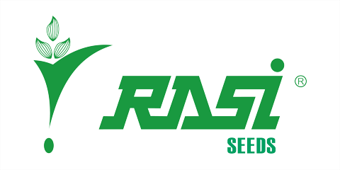 Rasi Seeds